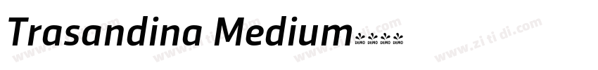Trasandina Medium字体转换